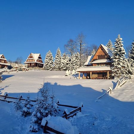 Appartement Goralska Prowincja à Kościelisko Extérieur photo